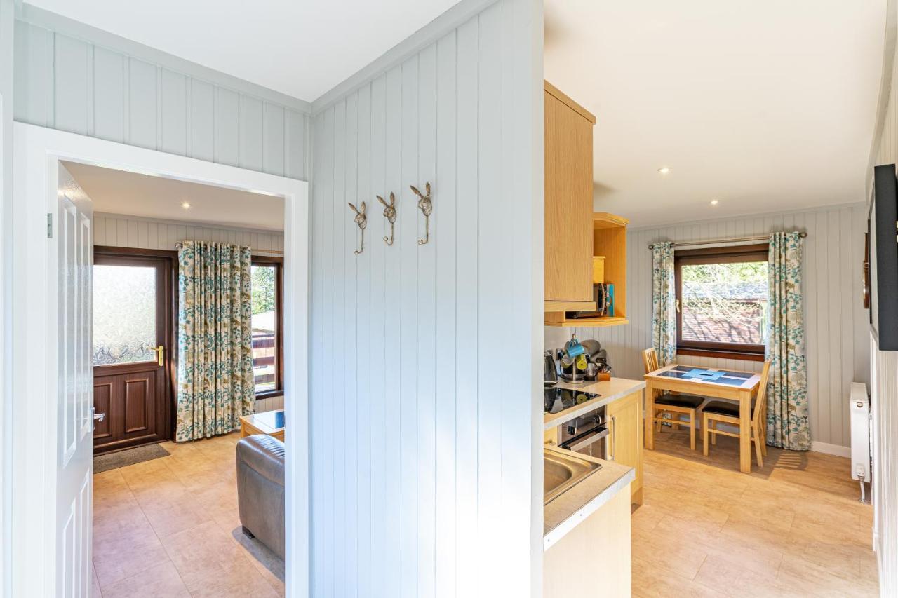 Bluebell Lodge 7 With Hot Tub 牛顿斯图尔特 外观 照片
